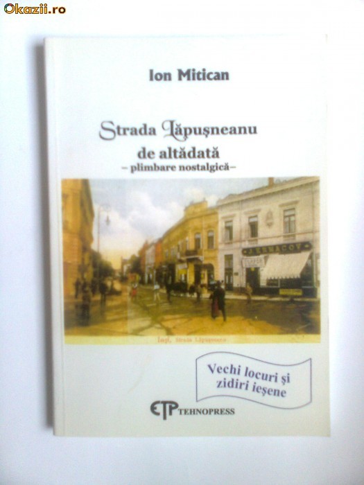 STRADA LAPUSNEANU DE ALTADATA, IASI, MONOGRAFIE STRADA LAPUSNEANU DE ALTADATA, IASI, MONOGRAFIE