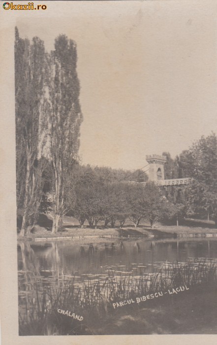 B11422 Parcul Bibescu Lacul