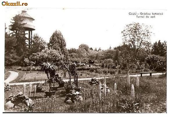 CP189-03 Cluj -Gradina botanica- Turnul de apa -RPR -carte postala circulata 1962