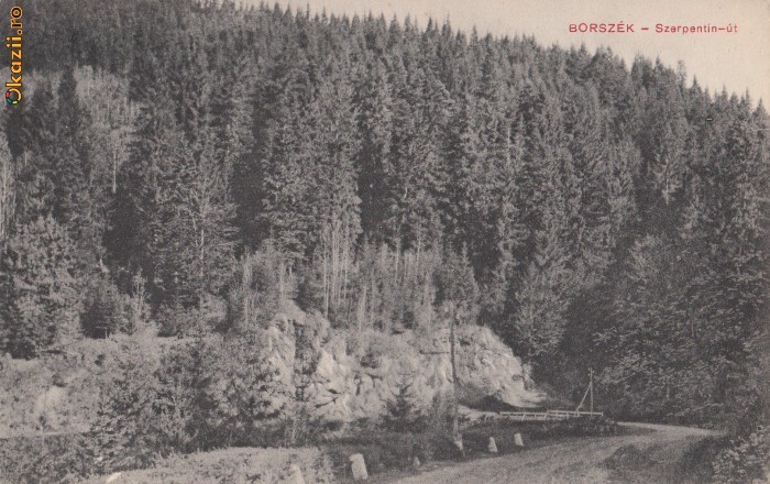 B18501 Borsec Serpentine