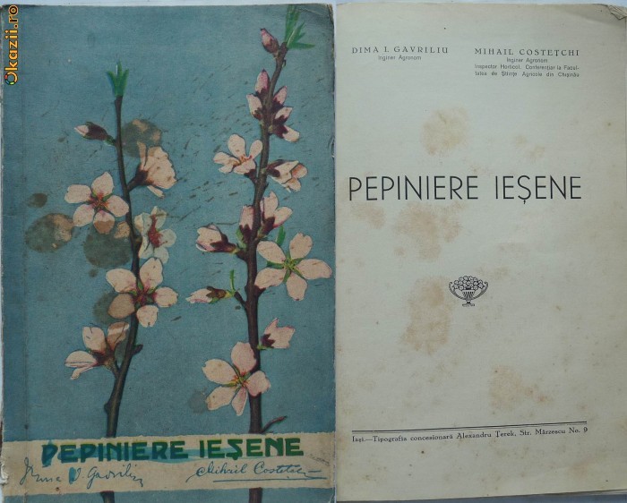 Gavriliu, Costetchi, Pepiniere iesene, 1936
