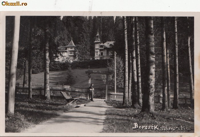 B11242 Borsec Vila Marika