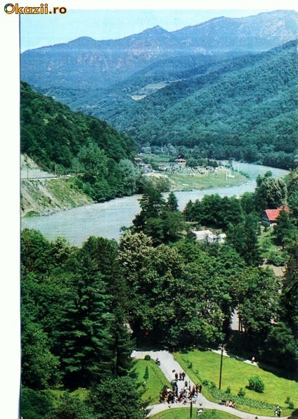 CP46-19-Valea Oltului la Caciulata CP46-19-Valea Oltului la Caciulata