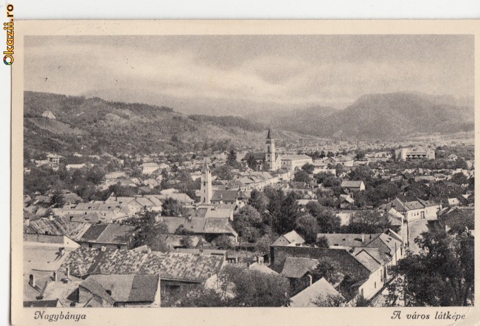 B19481 Baia Mare Vedere de ansamblu oras circulata