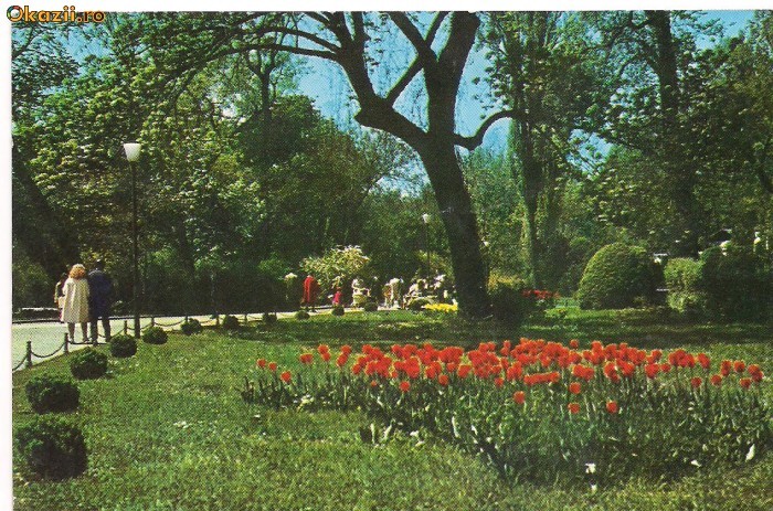 carte postala(ilusrata)-GRADINA CISMIGIU