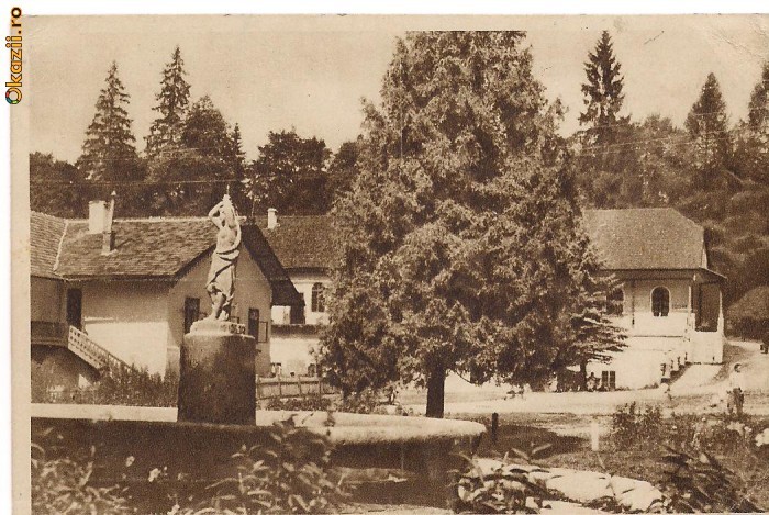 carte postala(ilustrata)-BORSEC-Vedere din parc