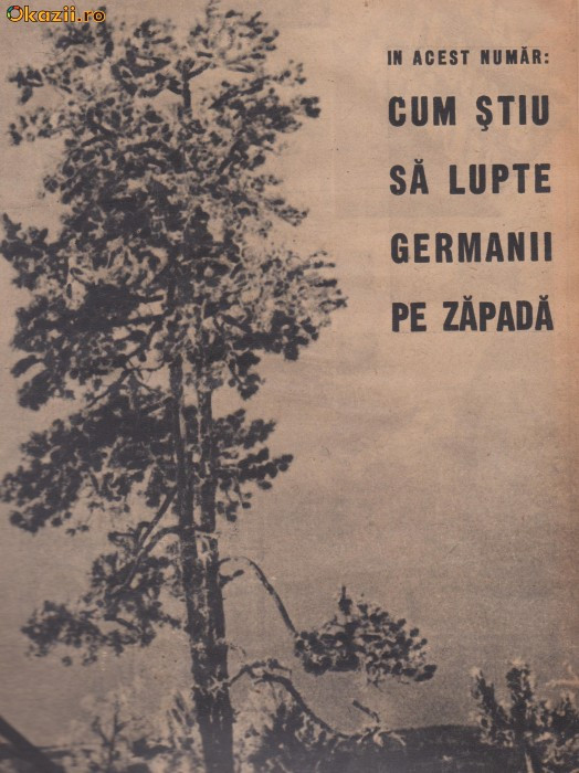 Realitatea Ilustrata : cum stiu sa lupte germanii pe zapada (1941, ww2)