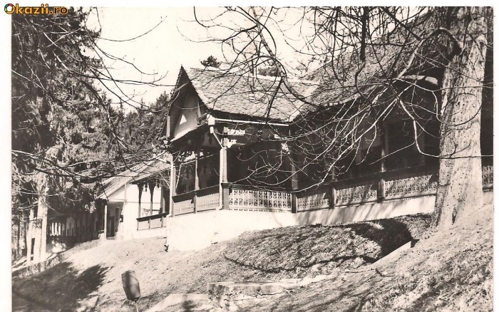 carte postala(ilustrata)-BAZNA