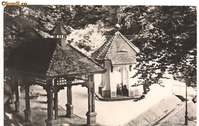 GOVORA-Vedere
