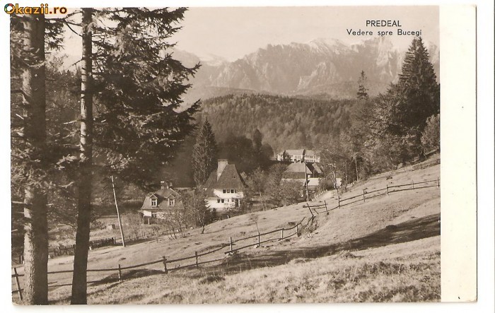 CPI (B84) PREDEAL, VEDERE SPRE BUCEGI, CIRCULATA 1961 CPI (B84) PREDEAL, VEDERE SPRE BUCEGI, CIRCULATA 1961