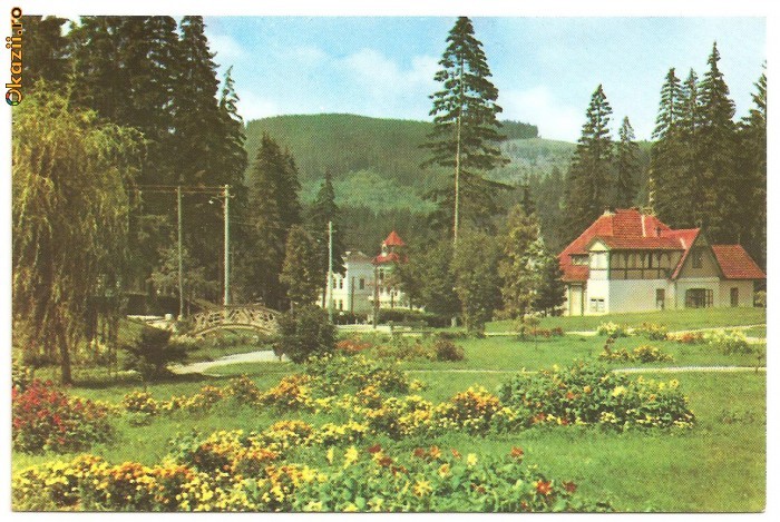 CPI (B125) BORSEC, SCRISA SI NECIRCULATA