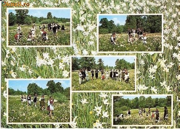 CP199-44 Judetul Brasov -Poiana Narciselor -carte postala, circulata 1978 ? -starea care se vede CP199-44 Judetul Brasov -Poiana Narciselor -carte postala, circulata 1978 ? -starea care se vede