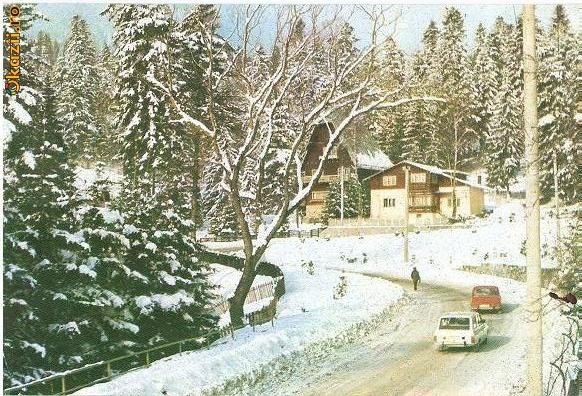 CP199-62 Sinaia. Vila ,,Albina" -carte postala, circulata 1984 -starea care se vede