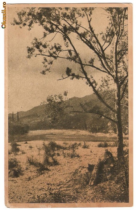 CPI(188) CALIMANESTI, VALEA OLTULUI, CIRCULATA, RPR CPI(188) CALIMANESTI, VALEA OLTULUI, CIRCULATA, RPR