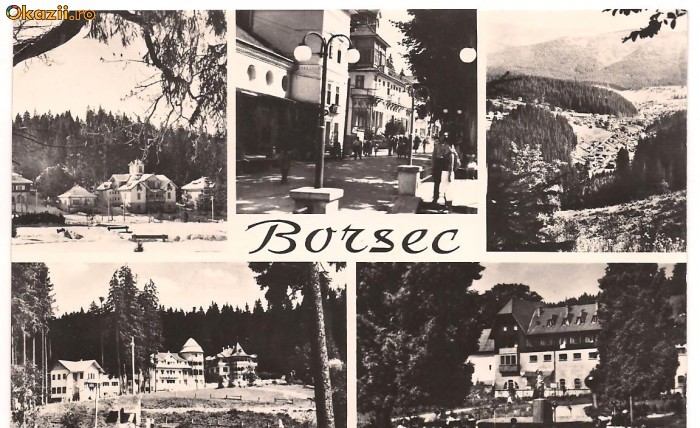 carte postala(ilusrata)-BORSEC