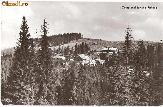 CP202-13 Complexul turistic Paltinis -RPR -carte postala, circulata 1962 -starea care se vede CP202-13 Complexul turistic Paltinis -RPR -carte postala, circulata 1962 -starea care se vede