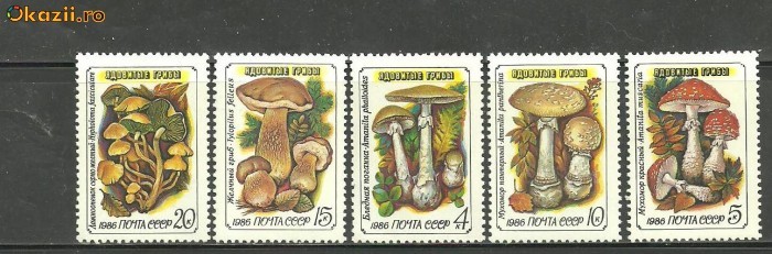 Rusia 1986 - CIUPERCI COMESTIBILE, serie MNH, B7 Rusia 1986 - CIUPERCI COMESTIBILE, serie MNH, B7