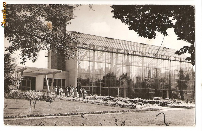 CPI (B313) CLUJ, GRADINA BOTANICA, SERA PLANTELOR EXOTICE, CIRCULATA, 1964