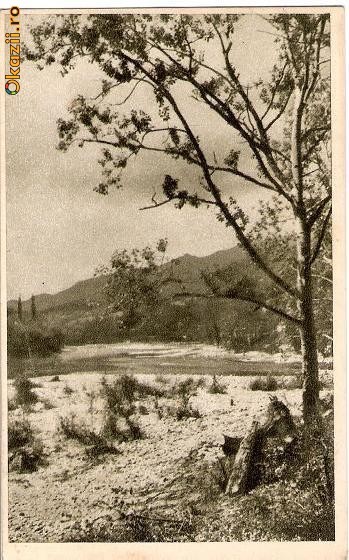 CP205-26 Calimanesti -Valea Oltului -RPR -carte postala, circulata 1955, la Barlad (com Draguseni) -starea care se vede CP205-26 Calimanesti -Valea Oltului -RPR -carte postala, circulata 1955, la Barlad (com Draguseni) -starea care se vede