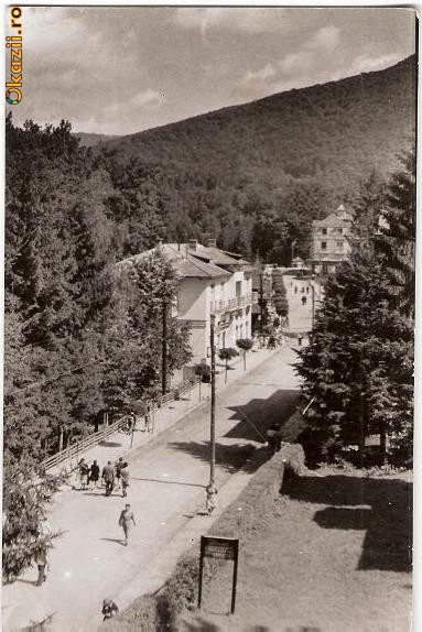 CP207-62 Sovata -Vedere -RPR -carte postala necirculata -starea care se vede