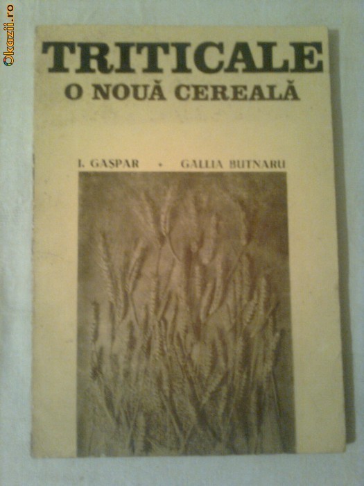 TRITICALE ~ O NOUA CEREALA ( hibrid, intre secara si grau )