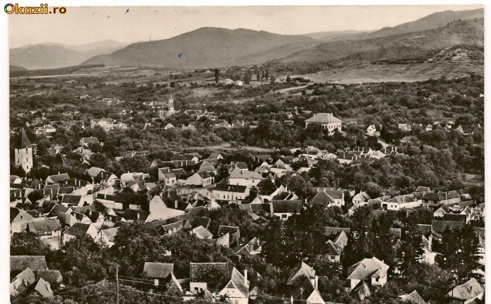 carte postala-SALISTE