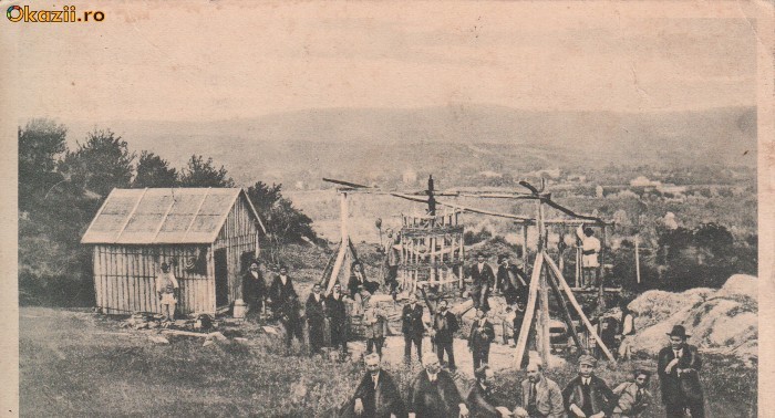 B27331 Caracal Parcul