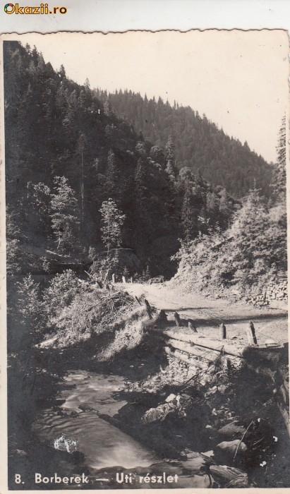 B28671 Romania Borberek Uti reszlet Vurpar