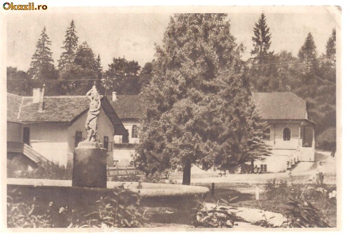 carte postala-BORSEC-vedere din parc
