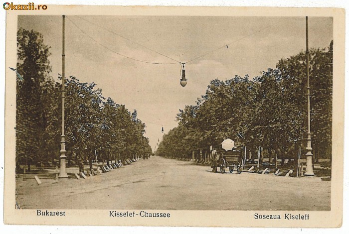 56 - BUCURESTI, Soseaua Kiseleff - old postcard - used - 1919