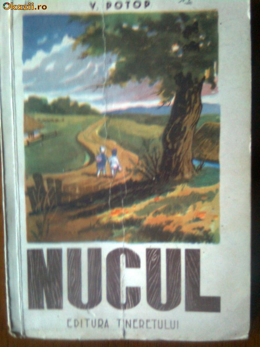 Nucul