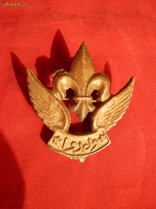 Insigna Araba de Cercetas , alama , 4x3,6 cm Insigna Araba de Cercetas , alama , 4x3,6 cm