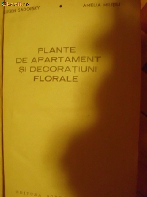 PLANTE DE APARTAMENT SI DECORATIUNI FLORALE