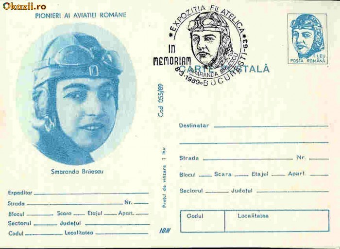 CP intreg postal aviatie - Smaranda Braescu CP intreg postal aviatie - Smaranda Braescu