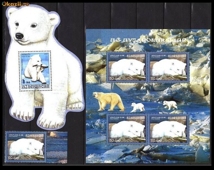 AZERBAIJAN 2007 FAUNA URSUL POLAR AZERBAIJAN 2007 FAUNA URSUL POLAR