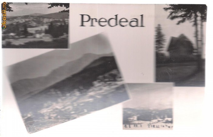 carte postala-PREDAL - Colaj