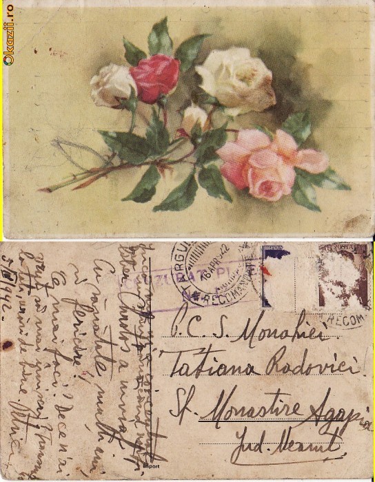 Ilustratori - Flori,natura moarta