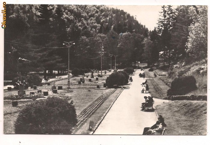 carte postala-SLANIC-MOLDOVA-Parcul