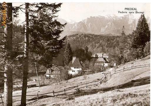 CP 210-41 Predeal -Vedere spre Bucegi -RPR -circulata 1961 -starea care se vede, la un colt, pe spate, are urme de la dezlipirea din album