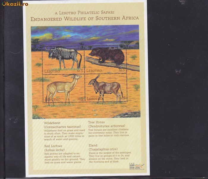 Fauna,Africa de Sud ,Lesotho.