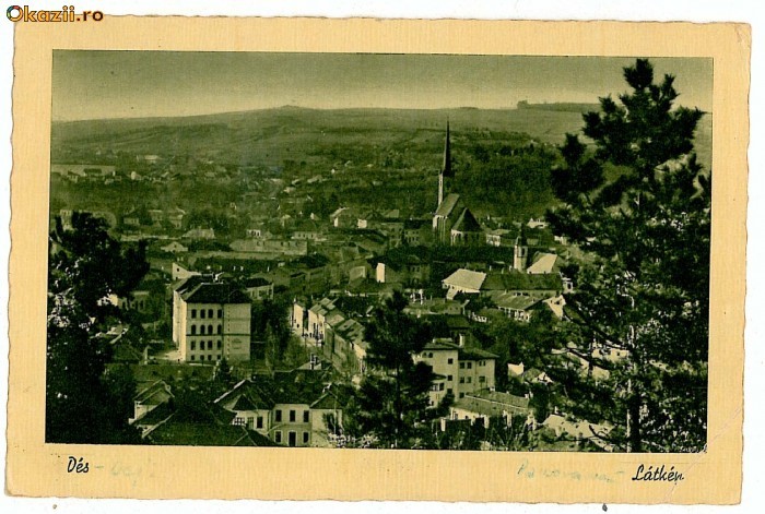 1542 - DEJ, Cluj, Panorama - old postcard - used - 1946