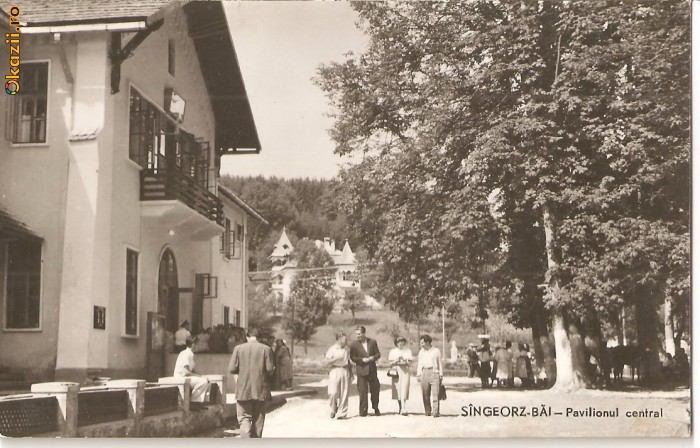 CPI (B628) SINGEORZ-BAI, PAVILIONUL CENTRAL, EDITURA CPCS, CIRCULATA, 1960, STAMPILA, TIMBRU