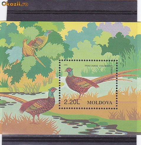 Fauna pasari Moldova. Fauna pasari Moldova.