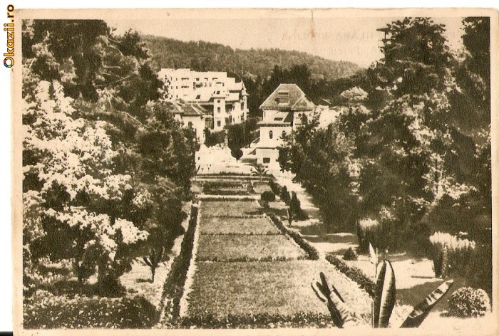 R-1412 Romania, RPR, Govora, Parcul, circulata
