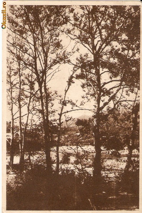 R-1042 Romania, RPR, Calimanesti, Valea Oltului, circulata, R-1042 Romania, RPR, Calimanesti, Valea Oltului, circulata,