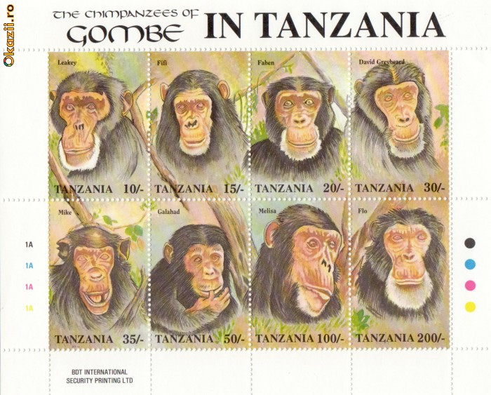 COLITA TIMBRE TANZANIA MAIMUTE