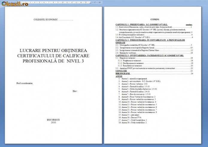 Atestat clasa a 12 03 image