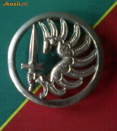 insigna bereta legiunea straina | arhiva Okazii.ro