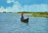 Ilustrata circulata 1978- Delta Dunarii
