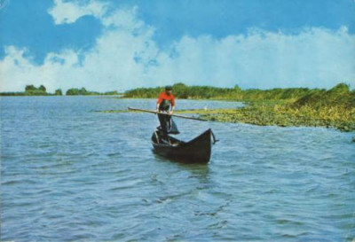 Ilustrata circulata 1978- Delta Dunarii foto